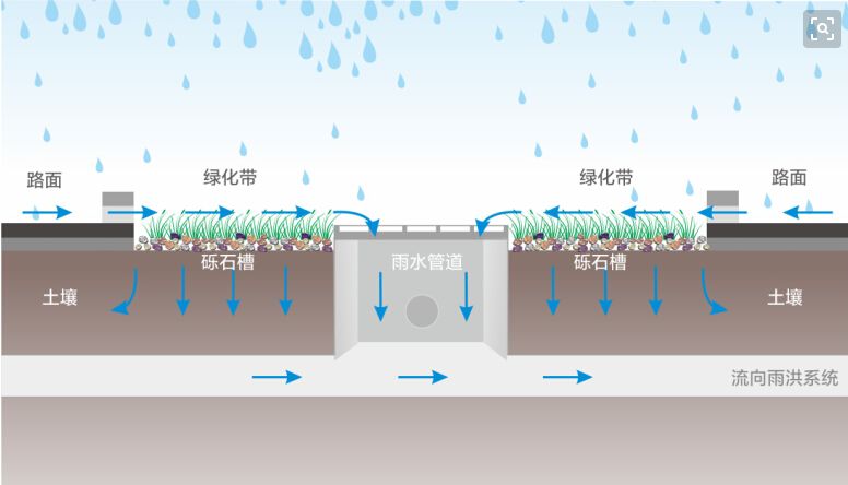 《焦点访谈》聚焦海绵城市：会呼吸才宜居