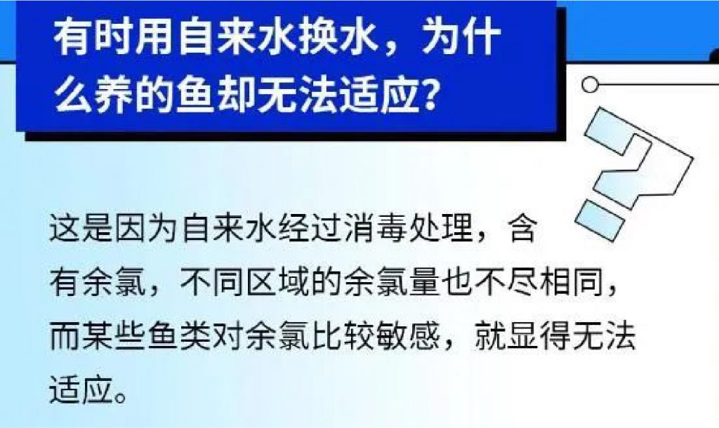 铁算算盘4887查询