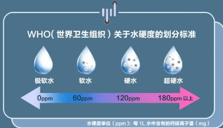 铁算算盘4887查询